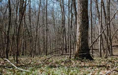Tiny photo for 12980 Canyon Road, Dixon, MO 65459 (MLS # 26020437)