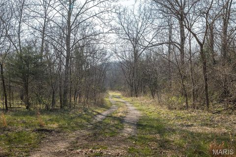 Tiny photo for 12980 Canyon Road, Dixon, MO 65459 (MLS # 26020437)