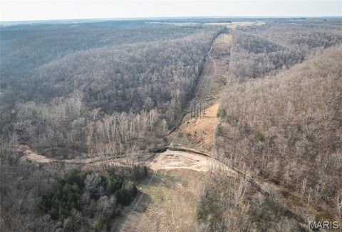 Tiny photo for 12980 Canyon Road, Dixon, MO 65459 (MLS # 26020437)