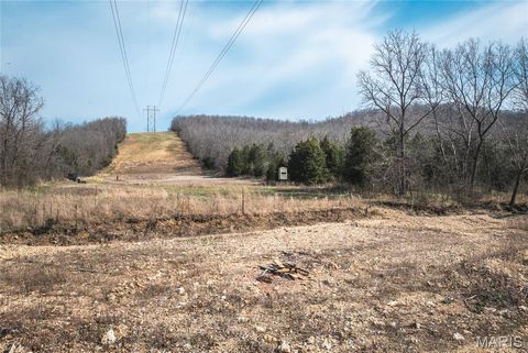 Tiny photo for 12980 Canyon Road, Dixon, MO 65459 (MLS # 26020437)