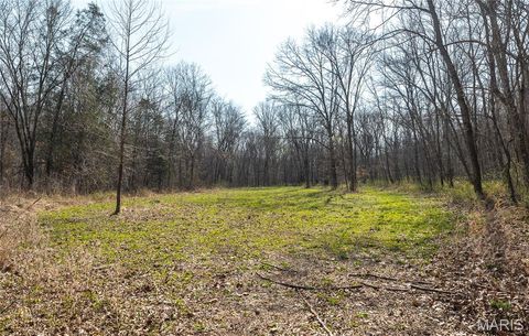Tiny photo for 12980 Canyon Road, Dixon, MO 65459 (MLS # 26020437)