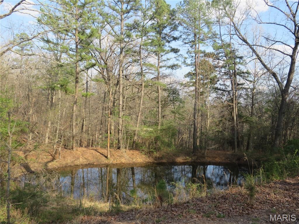 Photo of 54938 Highway 21, Ellington, MO 63638 (MLS # 26019395)