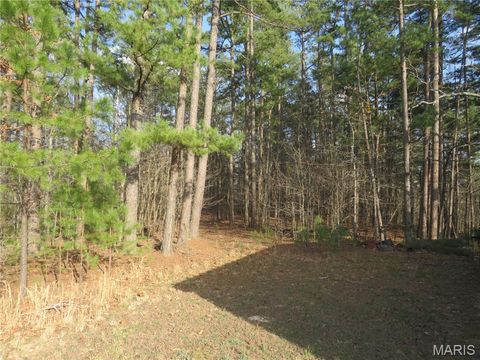 Tiny photo for 54938 Highway 21, Ellington, MO 63638 (MLS # 26019395)