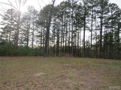 Tiny photo for 54938 Highway 21, Ellington, MO 63638 (MLS # 26019395)