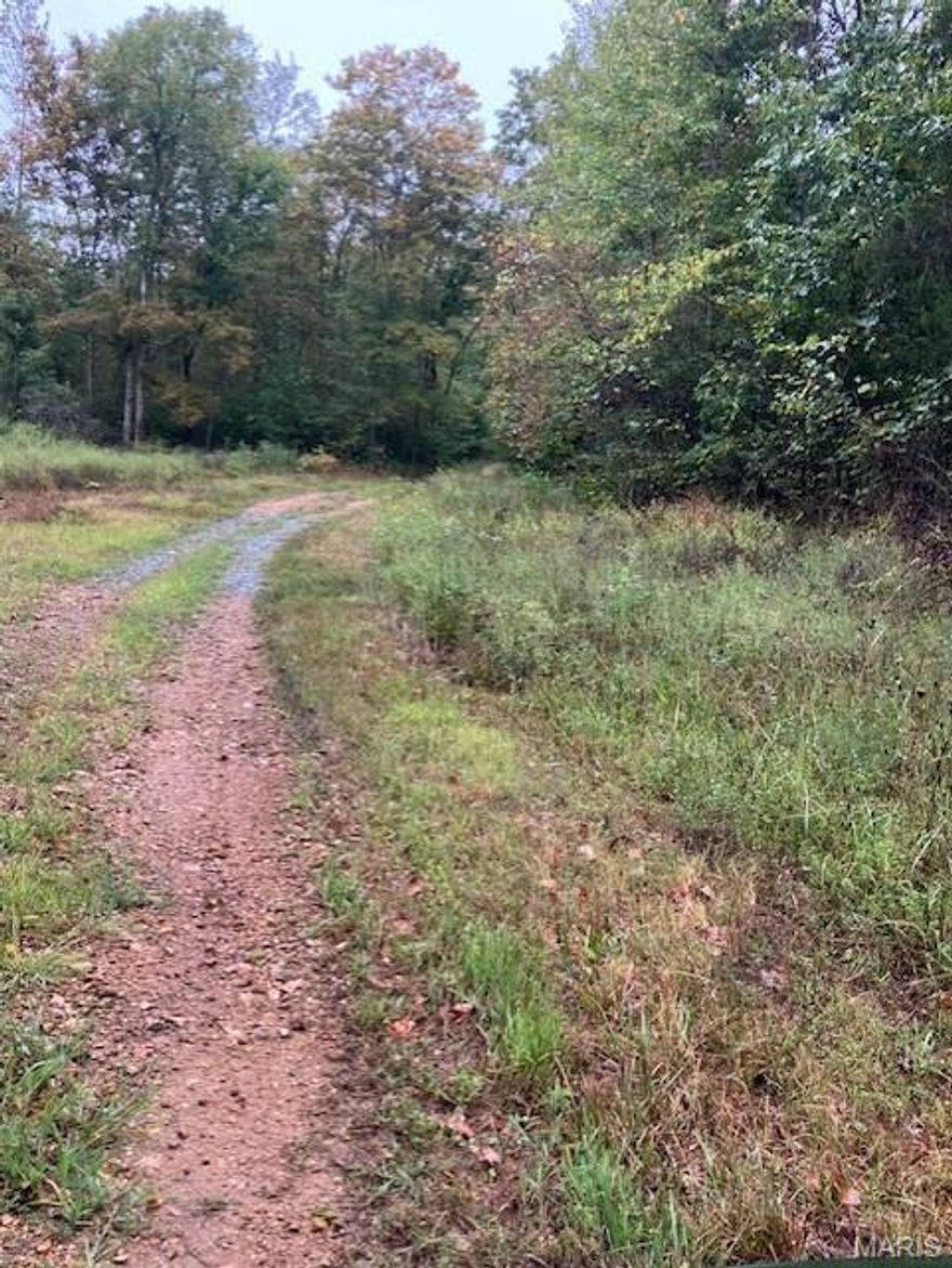 Wooded rural acreage with access to a shared spring-fed stream and within a mile of Mark Twain National Forest ... it doesn't get much better. It's a landowner's dream come true. 
This affordable Ozark oasis comes with NO restrictions. And there's a nice deeded easement gravel road leading from the county road to your property. A road extends around three sides of this piece.
Hunt, camp, build, ride ATVs on your own land, or fish or play in the shared creek section. The opportunities are endless.
This property is wooded and rolling. You are within a mile of the 22,176-acre Mark Twain National Forest ... public ground where you can also hunt, ride and explore. And about 2 miles by road from U.S. 67 for quick and easy access.
Use this great 7.375 acres as a base camp for adventure. This and surrounding land is teeming with deer, turkey and small game.
Ownership comes with access to a 3-acre shared stretch of the magnificent 12 Mile Creek and gravel bar.