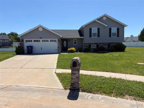 Photo of 483 Honeysuckle Creek Dr. Drive, Wentzville, MO 63385 (MLS # 26028238)