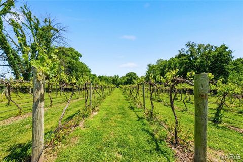 Tiny photo for 15088 Boone Monument Road, Unincorporated, MO 63357 (MLS # 26031251)