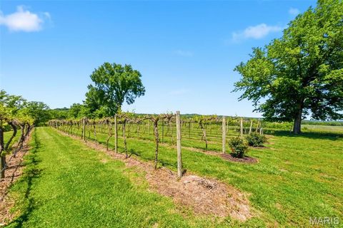 Tiny photo for 15088 Boone Monument Road, Unincorporated, MO 63357 (MLS # 26031251)