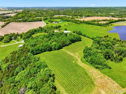 Tiny photo for 15088 Boone Monument Road, Unincorporated, MO 63357 (MLS # 26031251)