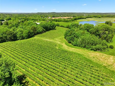 Tiny photo for 15088 Boone Monument Road, Unincorporated, MO 63357 (MLS # 26031251)