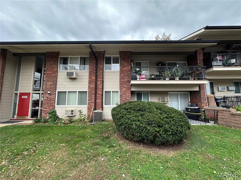 10010 Bunker Hill Drive H Mehlville MO 63123