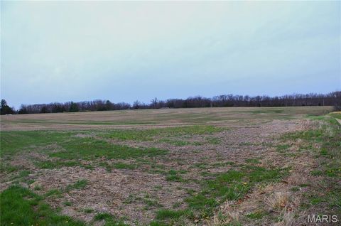 Tiny photo for 0 Quarry Road, Silex, MO 63377 (MLS # 25020533)