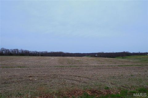 Tiny photo for 0 Quarry Road, Silex, MO 63377 (MLS # 25020533)