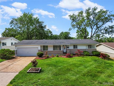Photo of 2280 Luxmore Drive, Unincorporated, MO 63136 (MLS # 26029667)