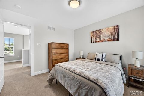 Tiny photo for 110 Little Tree Court, Wentzville, MO 63385 (MLS # 26030094)