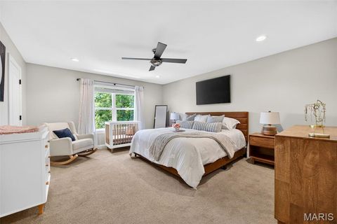 Tiny photo for 110 Little Tree Court, Wentzville, MO 63385 (MLS # 26030094)