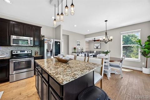 Tiny photo for 110 Little Tree Court, Wentzville, MO 63385 (MLS # 26030094)