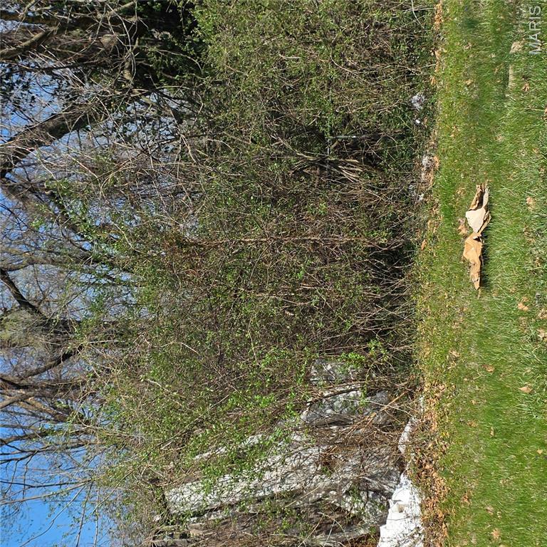 Chambers Park - Land