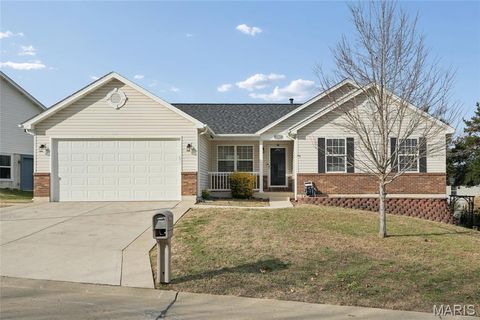 2307 W Ridge Drive Festus MO 63028