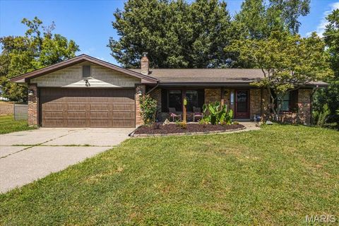 19726 Old Jamestown Road Florissant MO 63034