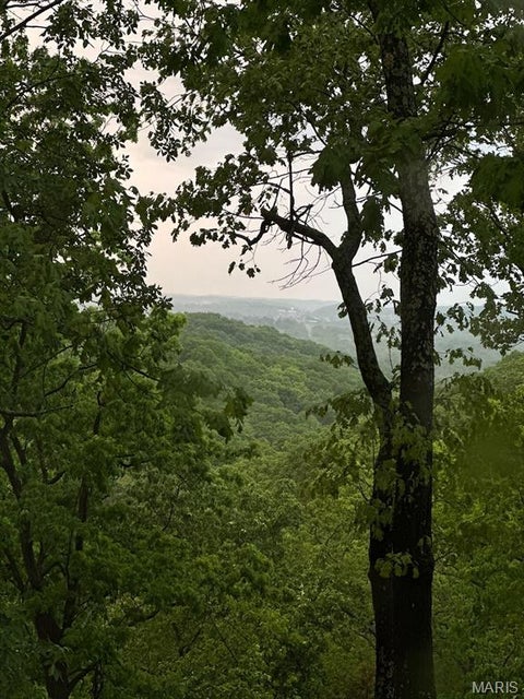 Tiny photo for 1302 Bear Canyon Road, Wildwood, MO 63021 (MLS # 26065329)