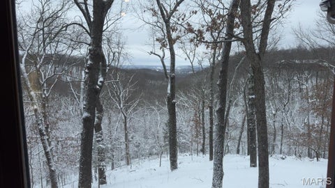 Tiny photo for 1302 Bear Canyon Road, Wildwood, MO 63021 (MLS # 26065329)