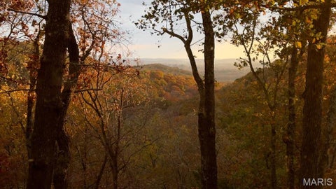Tiny photo for 1302 Bear Canyon Road, Wildwood, MO 63021 (MLS # 26065329)