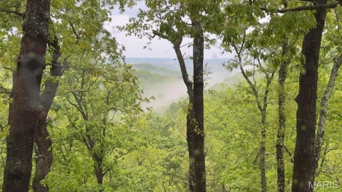 Tiny photo for 1302 Bear Canyon Road, Wildwood, MO 63021 (MLS # 26065329)