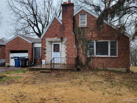 Photo of 7126 Theodore Avenue, St Louis, MO 63136 (MLS # 26008507)