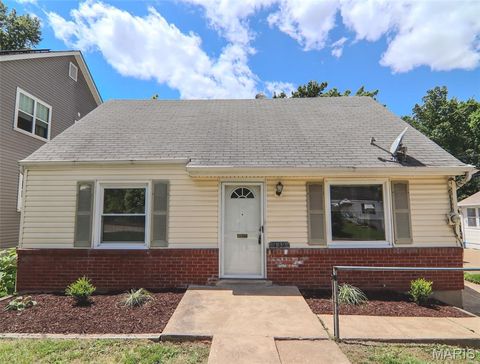 Photo of 439 Caroline Avenue, Kirkwood, MO 63122 (MLS # 26029529)