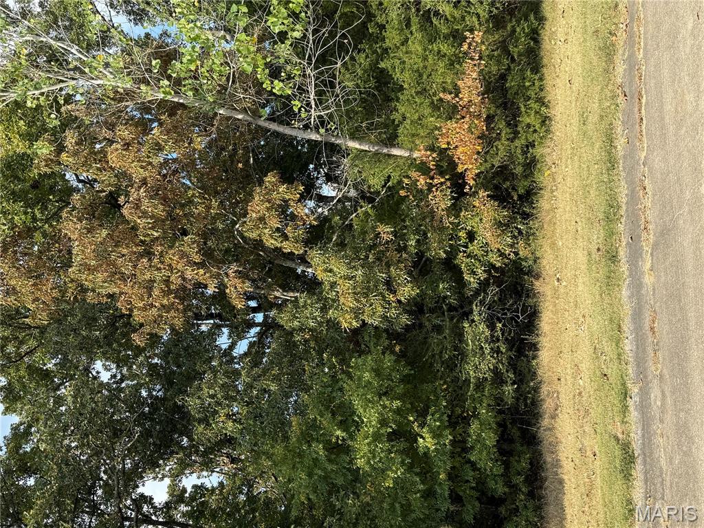 Brownwood Court - Land