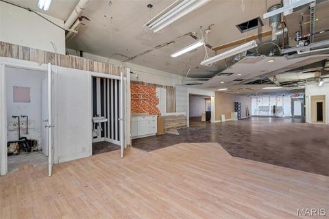 Tiny photo for 116 North Kirkwood Rd, Kirkwood, MO 63122 (MLS # 25080154)