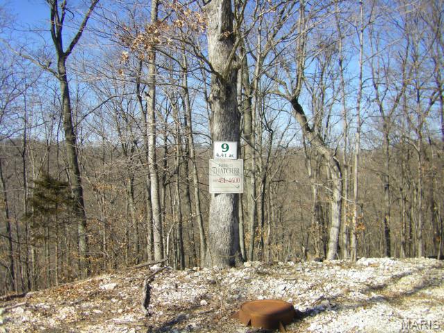 9 Old Logging Road 9