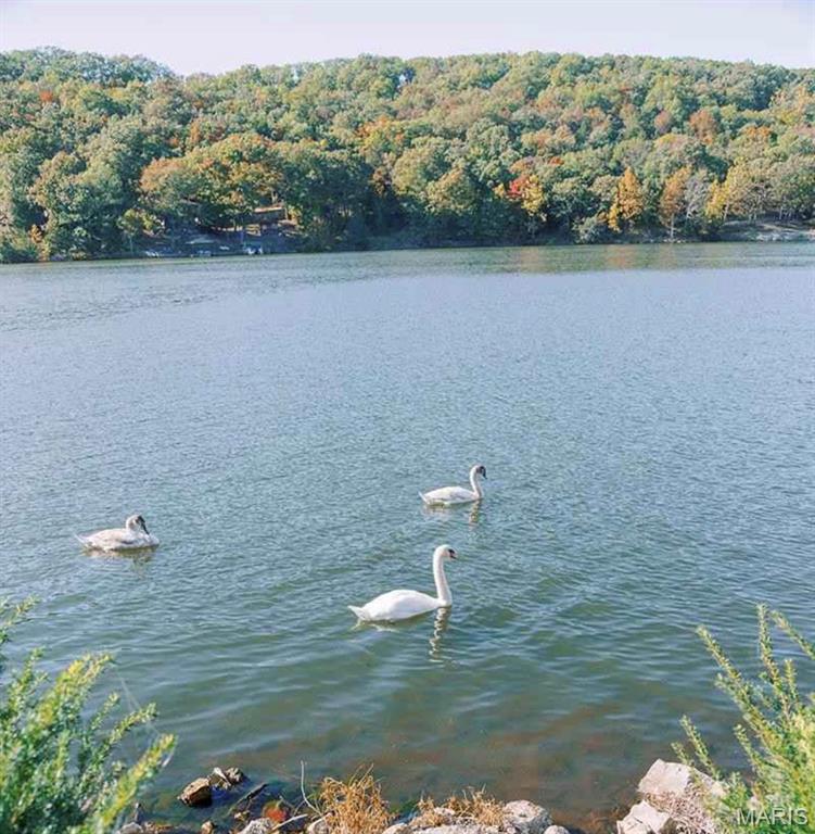 PEACEFUL VALLEY LAKE ESTATES - Land