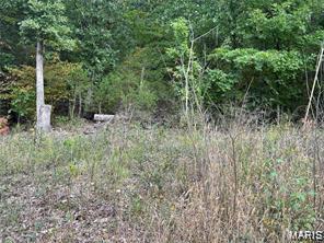 PEACEFUL VALLEY LAKE ESTATES - Land