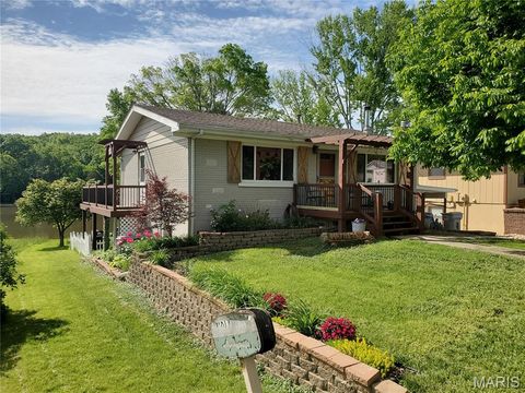 14274 S Lake Drive De Soto MO 63020