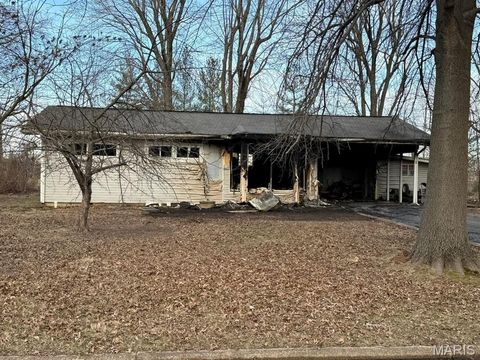 Photo of 405 N Louise Avenue, St James, MO 65559 (MLS # 26017170)