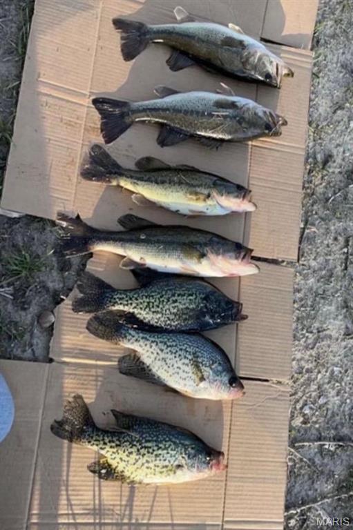 Warrenton Woods - Residential