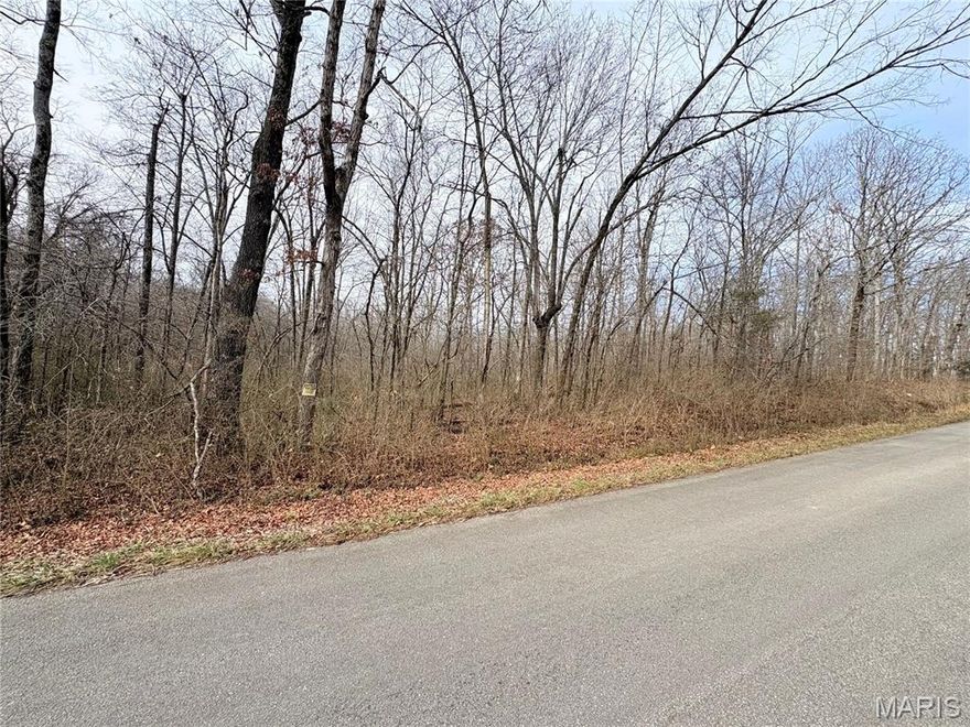 Located outside city limits of Poplar Bluff, this 20 acre tract of land is situated ideally for your next project. Wooded with mature timber will provide the new owner with added value.Public water and sewer are available.