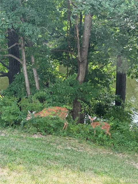Tiny photo for 16566 Victoria Crossing Drive #B, Wildwood, MO 63040 (MLS # 26041154)