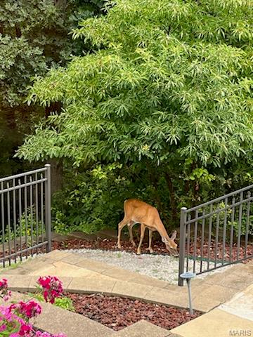 Romaine Spg Estates 02 - Residential