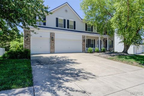 Photo of 111 Matthews Drive, Wentzville, MO 63385 (MLS # 26024641)