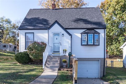 829 Ann Street Festus MO 63028