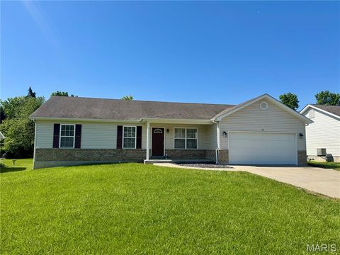 Photo of 351 Gardenia Drive, Troy, MO 63379 (MLS # 26029181)