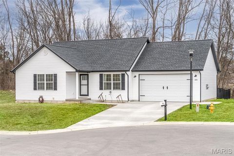 205 N Fourth Street Marthasville MO 63357