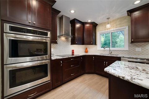 Tiny photo for 224 Brayhill Court, Chesterfield, MO 63017 (MLS # 25069147)
