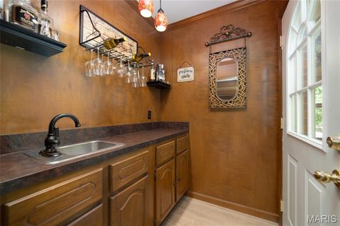 Tiny photo for 224 Brayhill Court, Chesterfield, MO 63017 (MLS # 25069147)