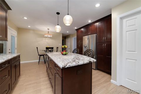 Tiny photo for 224 Brayhill Court, Chesterfield, MO 63017 (MLS # 25069147)
