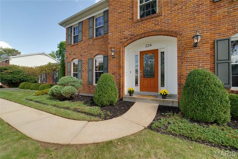 Tiny photo for 224 Brayhill Court, Chesterfield, MO 63017 (MLS # 25069147)