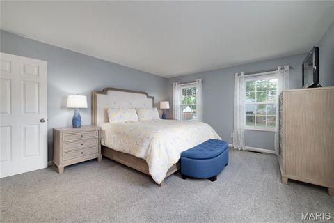 Tiny photo for 224 Brayhill Court, Chesterfield, MO 63017 (MLS # 25069147)